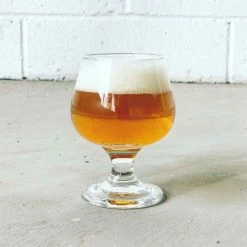 Brooklyn Brew Shop Danneggiato Negozio Di Birra Di Brooklyn Ogni Giorno IPA -Negozio al dettaglio stagionatura 0013 GKHPA 2 166839e6 8968 46cf b501 9daa2dbd4e42