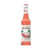 Ingredienti Monin Sciroppo D'Anguria 70cl