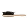 Spazzola Per Capelli Piccola Andree Jardin - Legno Di Faggio & Boar Bristle -Negozio al dettaglio stagionatura AJ0032 AndreeJardinSmallHairBrush BeechWood BoarBristle 1