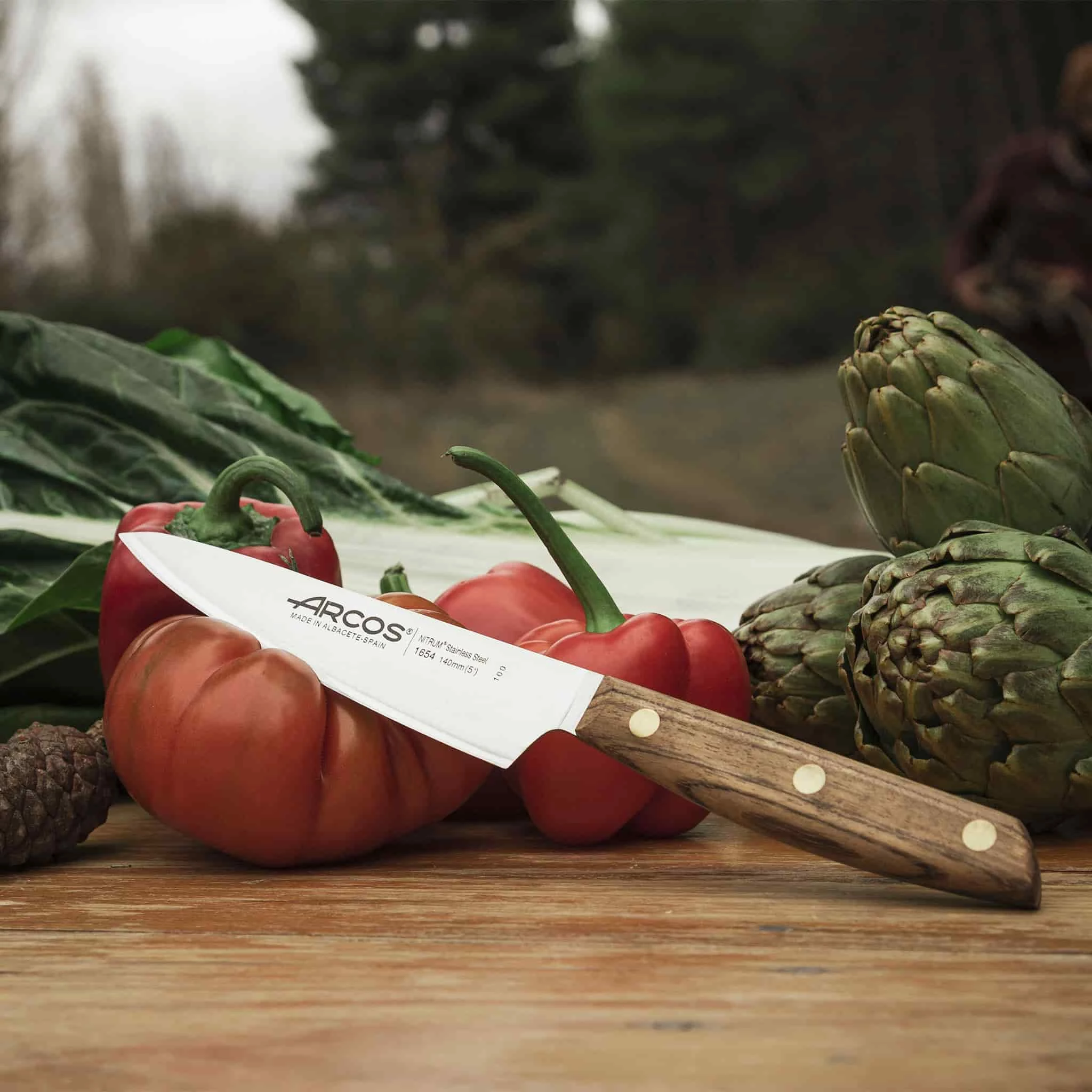 Coltello Utility Arcos Nordika 14cm 4 Coltello Utility Arcos Nordika 14cm - immagine 2