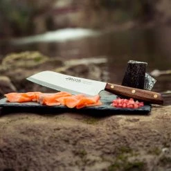 Coltello Arcos Nordika Santoku 19cm -Negozio al dettaglio stagionatura AK0005 ArcosNordikaSantokuKnife19cm LS2