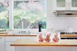 Anova Sous Vide Precision Cooker Pro Cookware -Negozio al dettaglio stagionatura AnovaPro CambroSteaks C 2 scaled 1