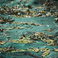 Honest Toil Olio D'oliva Onesta Di Toil 3 Litre -Negozio al dettaglio stagionatura HonestToilOliveOillifestyle1 5a720c78 d436 4acb 9b10 a251dabb7a2f