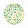 Puglia Handmade Puglia Aquamarine Splatter Piatto Da Pranzo 27cm -Negozio al dettaglio stagionatura NC0046 PugliaAquamarineSplatterDinnerPlate27cm
