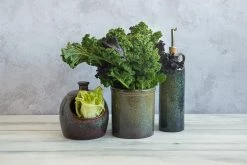 Ceramica Nicola Lagoa Utensili Da Cucina Vaso -Negozio al dettaglio stagionatura lagoa utensil salt pig oil pourer