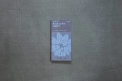 Piccolo Black Cumin Nigella Plant Seeds Ingredienti 7 Piccolo Black Cumin Nigella Plant Seeds Ingredienti -Negozio al dettaglio stagionatura piccolo seeds nigella black cumin